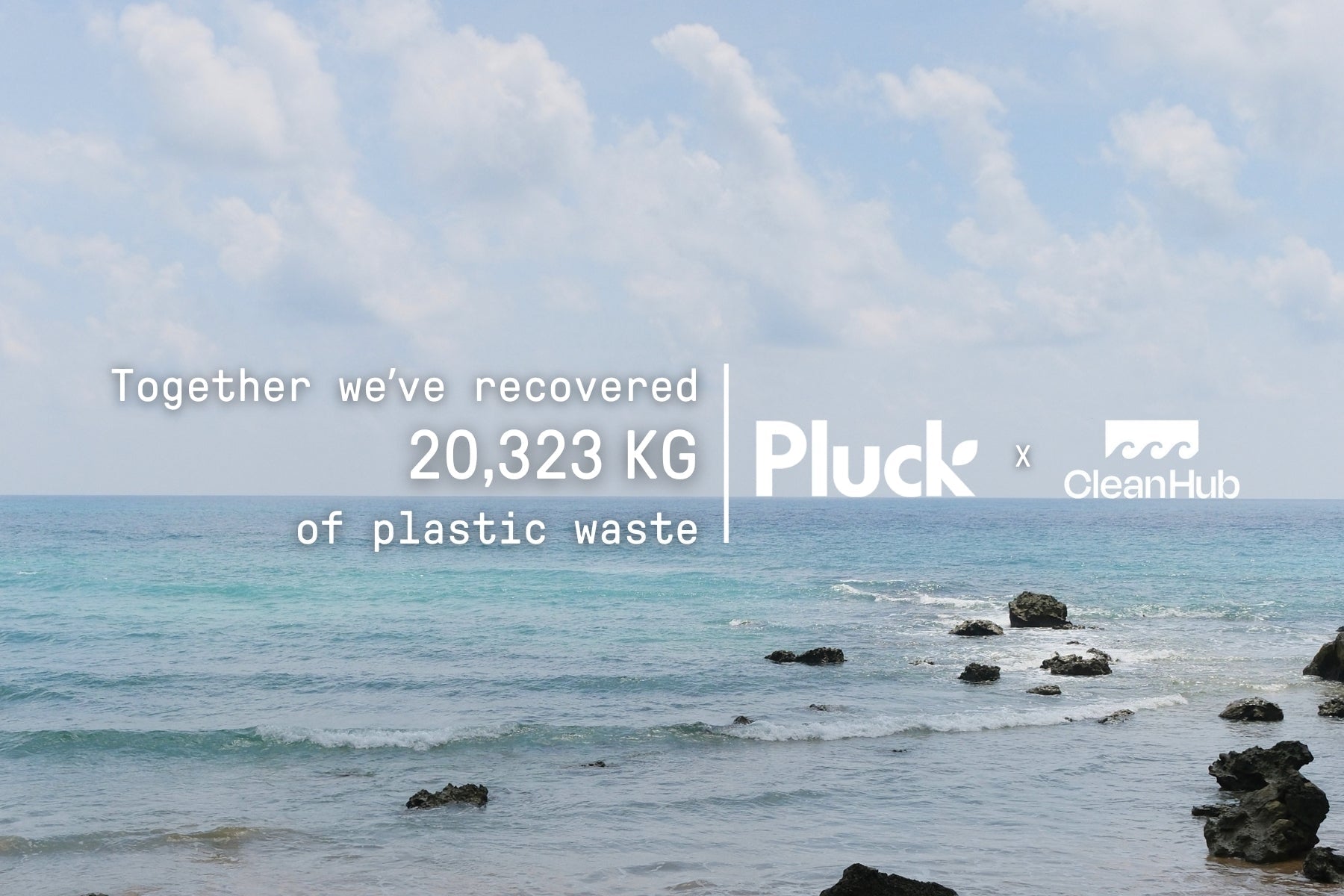 Pluck Tea's CleanHub Partnership: Our Impact So Far