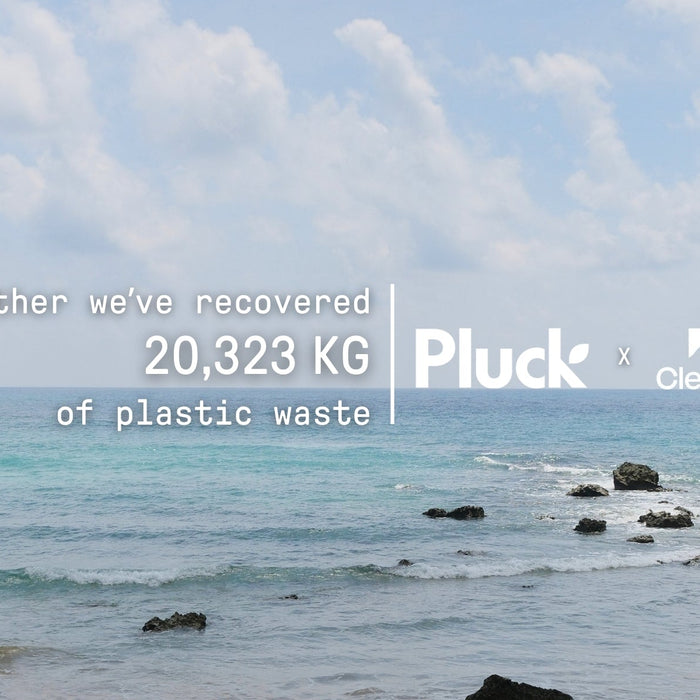 Pluck Tea's CleanHub Partnership: Our Impact So Far