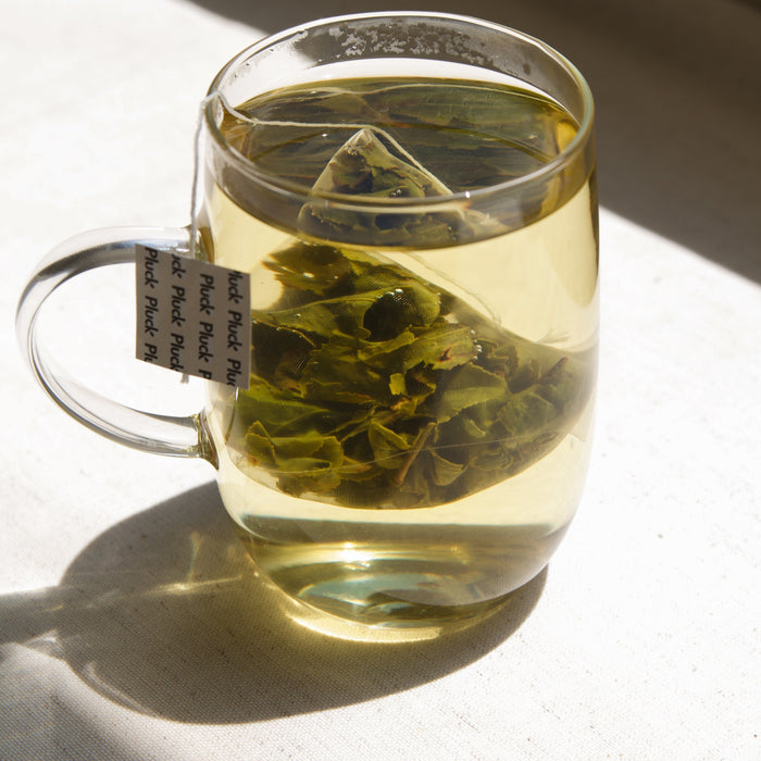 Why We Made Our Oolong Tea Bags 20% Larger