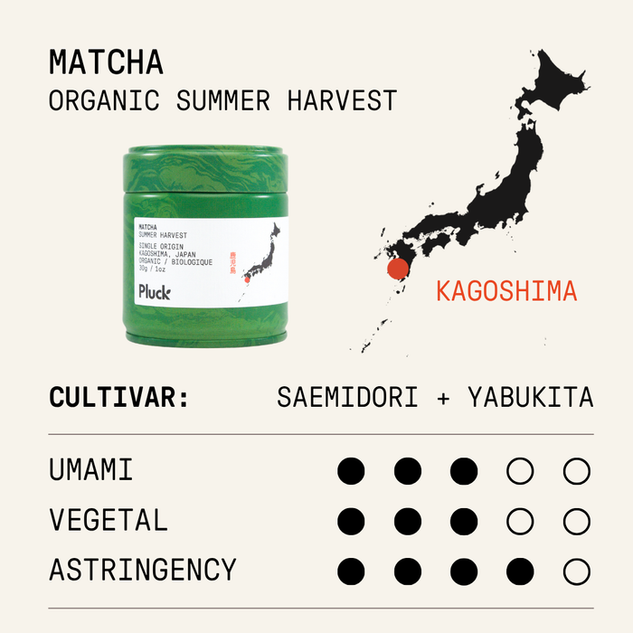 Kagoshima Matcha Trio