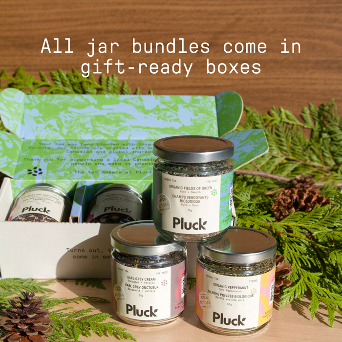 Holiday Tea - 3 Jar Bundle (Bagged)
