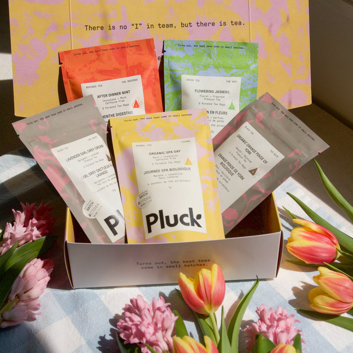 Mother's Day Sample Bundle