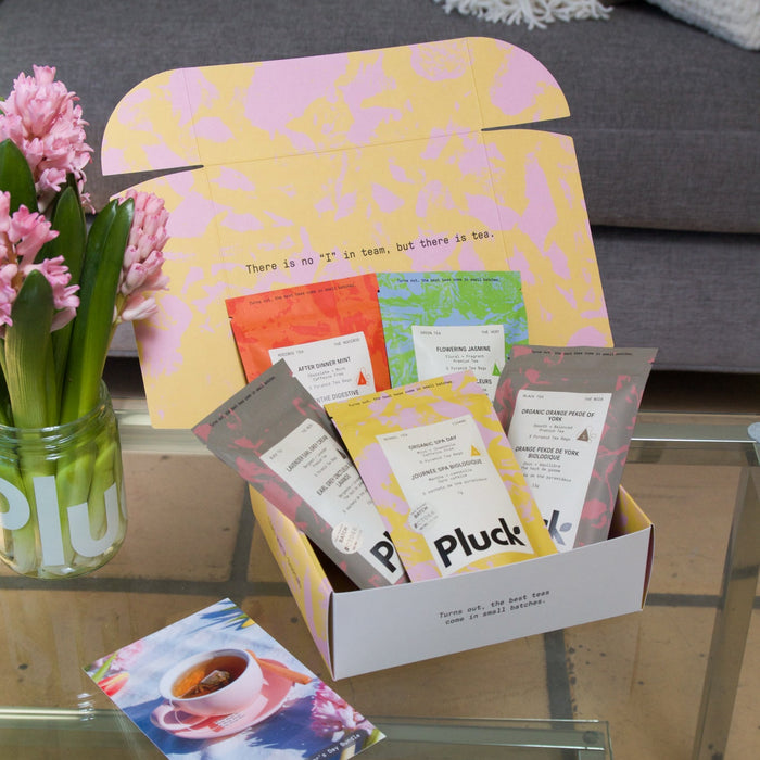 Mother's Day Sample Bundle