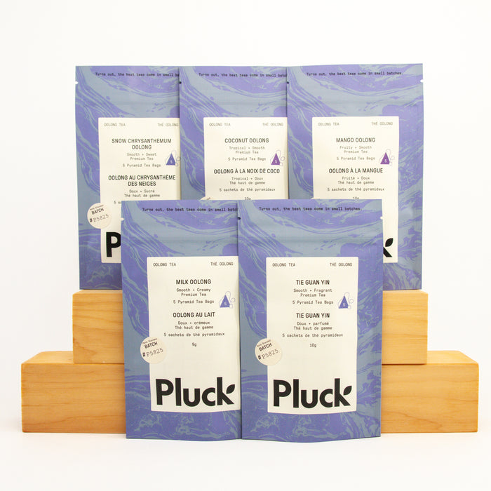 Oolong Tea Sample Bundle