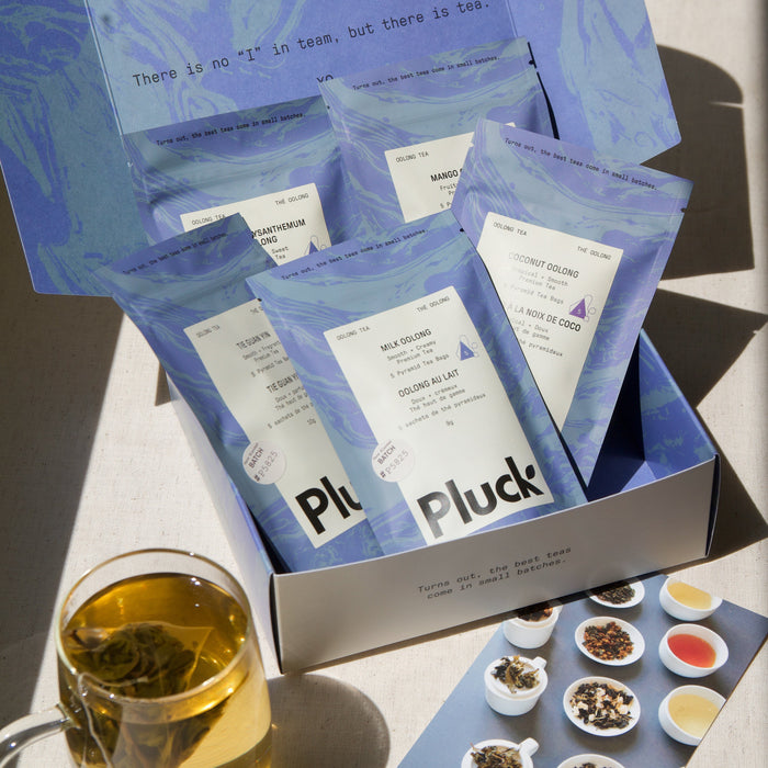Oolong Tea Sample Bundle