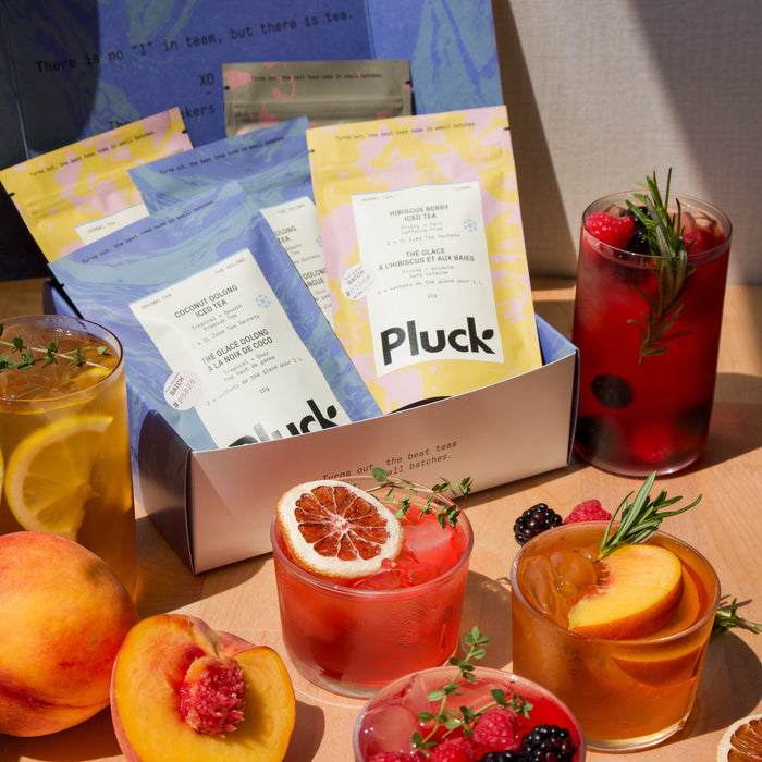 Fruit Iced Tea Sample Bundle