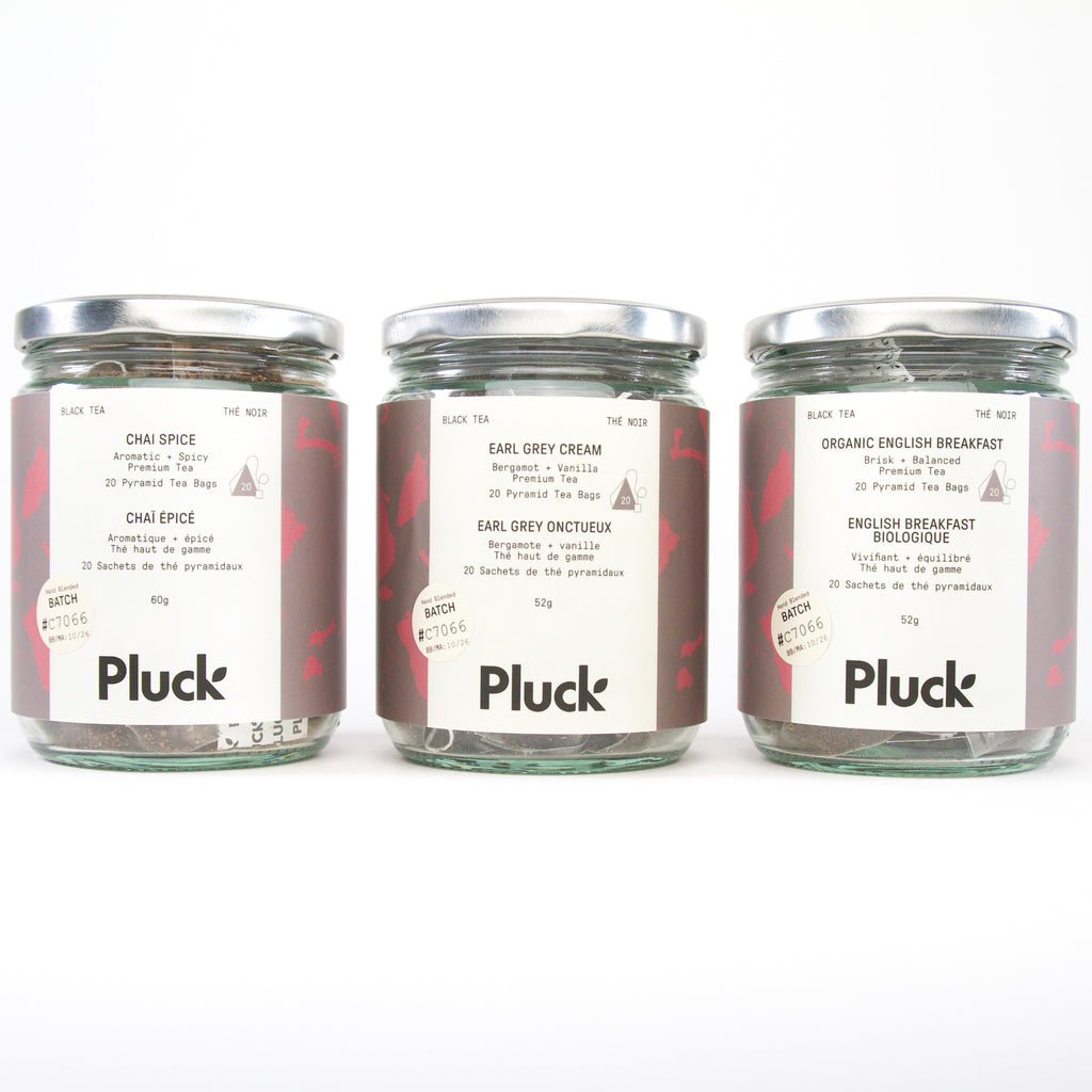 Pluck Tea Classic Black Teas 3 Jar Bundle