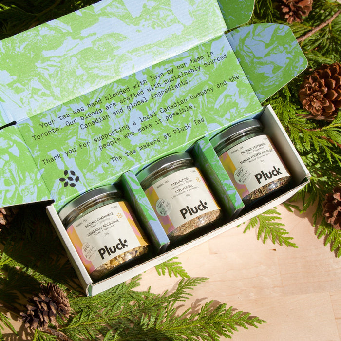 Herbal/Caffeine Free - 3 Jar Bundle (Loose or Bagged)