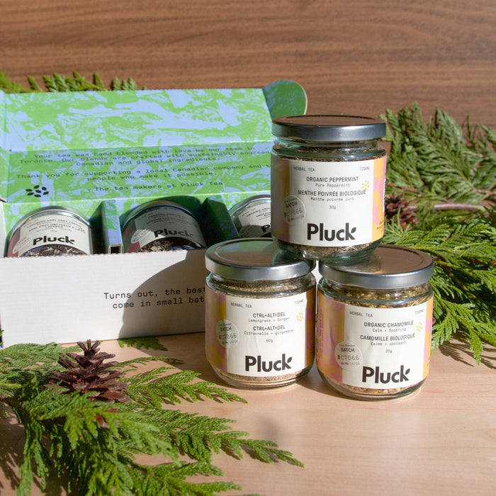 Herbal/Caffeine Free - 3 Jar Bundle (Loose or Bagged)