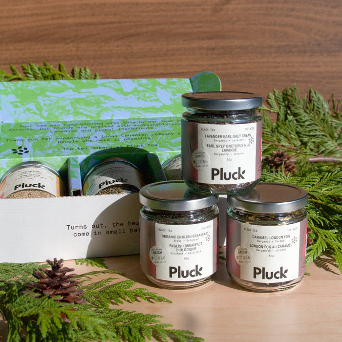 Earl Grey Lovers - 3 Jar Bundle (Loose or Bagged)