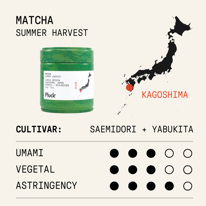 Organic Summer Harvest Matcha