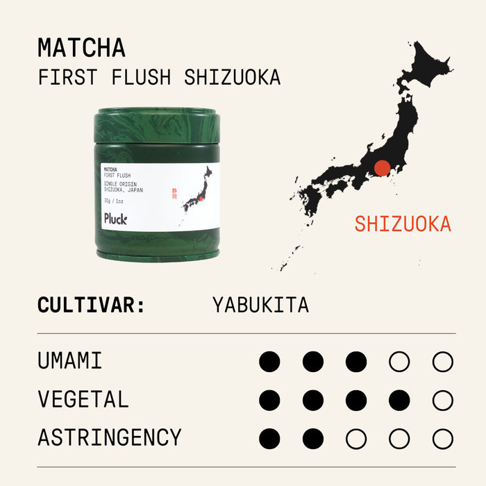 First Flush Shizuoka Matcha