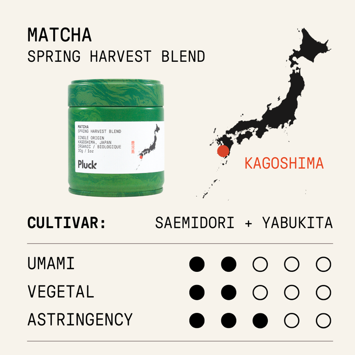 Matcha + Hojicha Trio