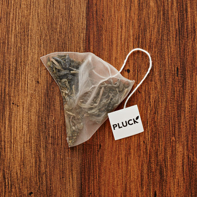 Pluck plastic - free Fields of Green organic green tea bag